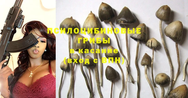 не бодяженный Абаза